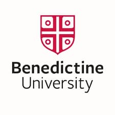 consulting higher education